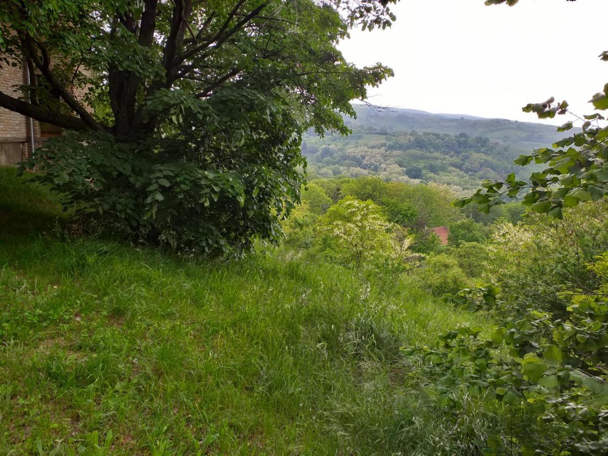 Lodging Vidmar Sremski Karlovci Exterior foto