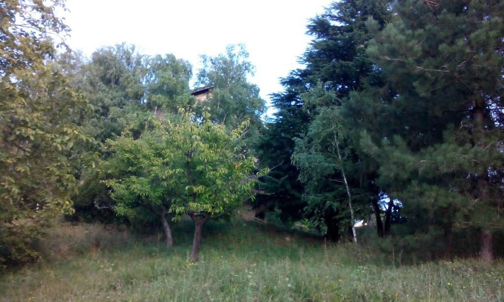 Lodging Vidmar Sremski Karlovci Quarto foto