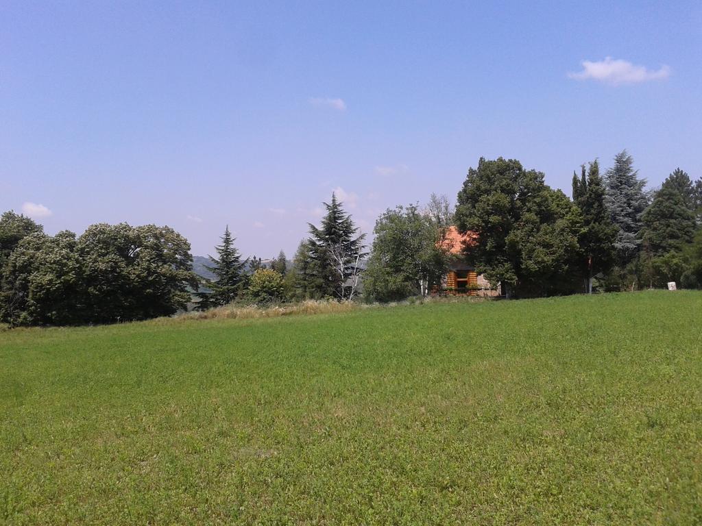 Lodging Vidmar Sremski Karlovci Quarto foto
